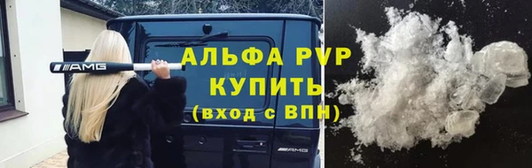 дмт Кизел