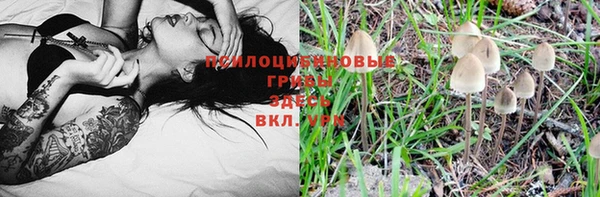 меф Михайловск
