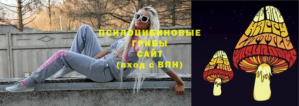 экстази Михайлов