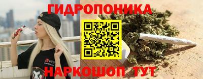 гидра Абакан