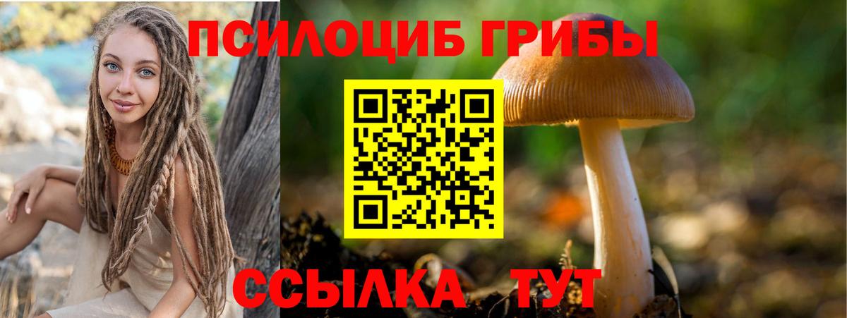 Псилоцибиновые грибы GOLDEN TEACHER  Вход с VPN  Галлюциногенные грибы MAGIC MUSHROOMS  Советская Гавань 